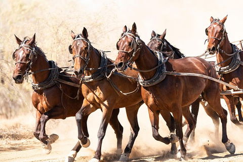 Cobb And Co Stagecoach Experience - Foster Accommodation 2