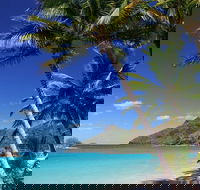 Whitsunday Essentials 5 Days Package - Foster Accommodation