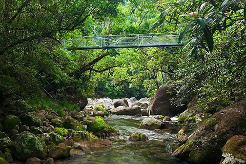 SHUTTLE - Mossman Gorge & Cooya Beach From Port Douglas (Return Transfer) - Foster Accommodation 4