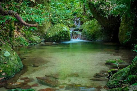SHUTTLE - Mossman Gorge & Cooya Beach From Port Douglas (Return Transfer) - Foster Accommodation 2