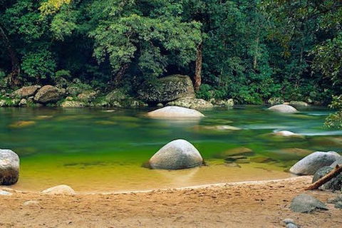 SHUTTLE - Mossman Gorge & Cooya Beach From Port Douglas (Return Transfer) - Foster Accommodation 1