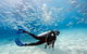 Exciting Gold Coast Diving Excursions - thumb 0