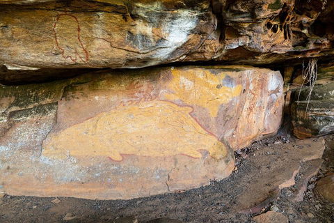 Half Day Aboriginal Rock Art Experience In Queensland - Foster Accommodation 3