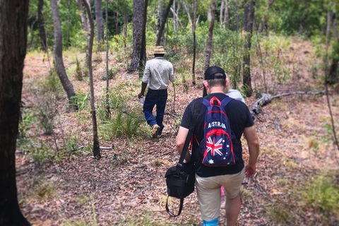 Half Day Aboriginal Rock Art Experience In Queensland - Foster Accommodation 5