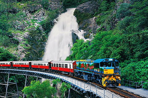 Day Tour To Kuranda, Rainforest And Port Douglas With Flight - Foster Accommodation 4