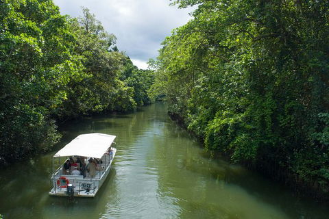 World Heritage Highlights: Reef/Daintree/Cape Tribulation - Foster Accommodation 1