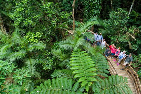 World Heritage Highlights: Reef/Daintree/Cape Tribulation - Foster Accommodation 3