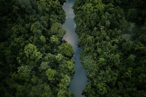 World Heritage Highlights: Reef/Daintree/Cape Tribulation - Foster Accommodation 10