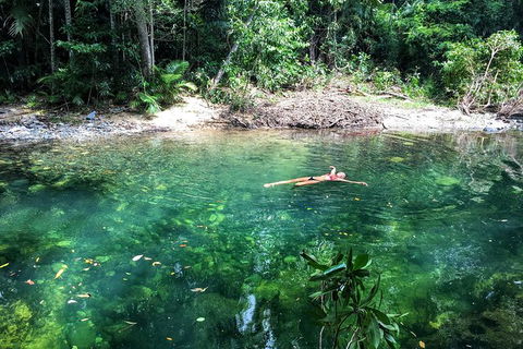 World Heritage Highlights: Reef/Daintree/Cape Tribulation - Foster Accommodation 4