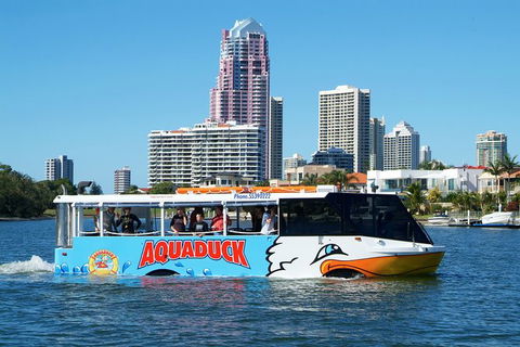 Aquaduck & Paradise Jet Boating Combo - Foster Accommodation 5