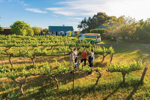 Barossa Valley Highlights From Barossa Valley Including Wine And Cheese Tasting - Foster Accommodation 0