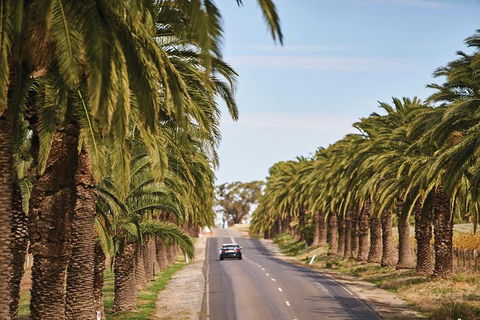 Barossa Valley Highlights From Barossa Valley Including Wine And Cheese Tasting - Foster Accommodation 2