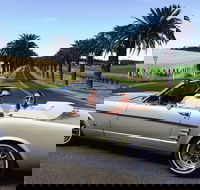 Classic Mustang Convertible Barossa Valley Half Day Private Tour For 2 - Foster Accommodation