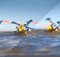 Kangaroo Island Self-Guided Kayaking on the Harriet River - Foster Accommodation