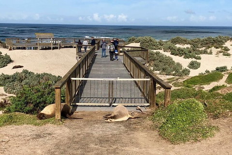 Kangaroo Island 4wd - Best Of KI - Foster Accommodation 6