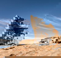 Kangaroo Island Luxury Small Group 'Flinders Chase Focus' Full Day Tour - Foster Accommodation