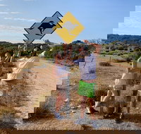 Kangaroo Island 4WD Tour - Dudley Peninsula - Foster Accommodation