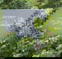 Yalumba Nursery  Grenache Discovery Tour  Platter Lunch - Foster Accommodation