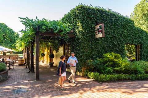 Yalumba Signature Tour - Foster Accommodation 3