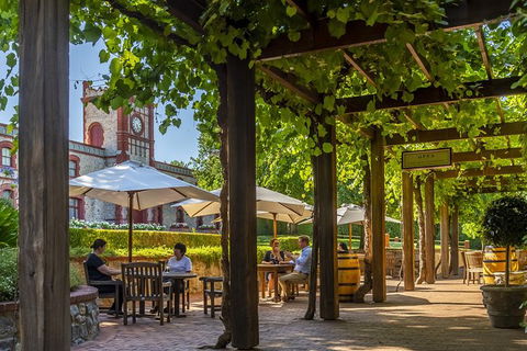Yalumba Signature Tour - Foster Accommodation 4