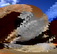 Full-Day Kangaroo Island Safari from Penneshaw - Foster Accommodation