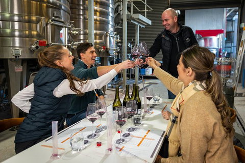 Winemaker Experience - Foster Accommodation 0