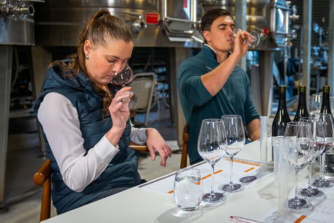 Winemaker Experience - Foster Accommodation 1