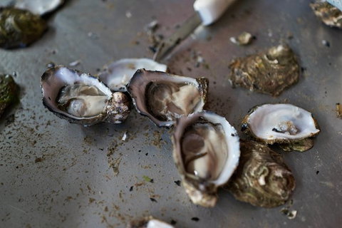 Fine Flavours - Full Day Kangaroo Island Food & Wine Tour - Foster Accommodation 10