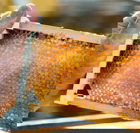 Fine Flavours - Full Day Kangaroo Island Food  Wine Tour - Foster Accommodation