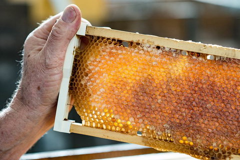 Fine Flavours - Full Day Kangaroo Island Food & Wine Tour - Foster Accommodation 0