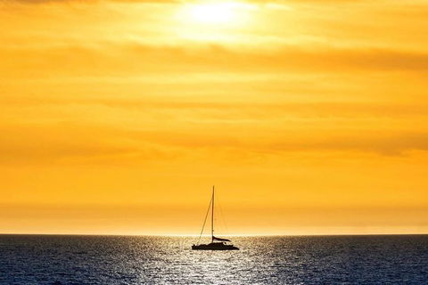 Adelaide Twilight Coast Sightseeing Cruise From Glenelg - Foster Accommodation 0