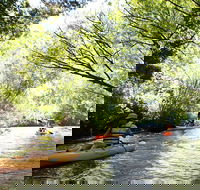 Paddle with the Platypus Twilight Kayak Adventure - Foster Accommodation