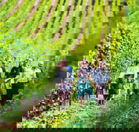 Tasmanian Wine Tour - Foster Accommodation