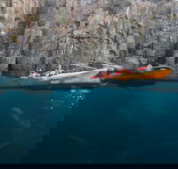 Tasman Peninsula full day kayaking tour - Foster Accommodation