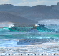Full Day Tour Hobart East Coast Classic Wine Beach Oysters Seafood  Berries - Foster Accommodation
