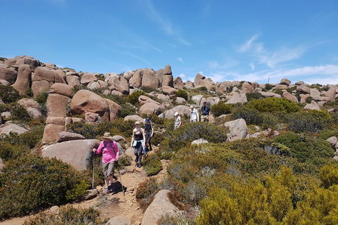 Alpine Loop - Foster Accommodation 2