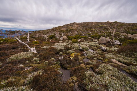 Alpine Loop - Foster Accommodation 0