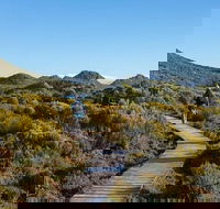 Hartz Mountains premium private photo-oriented day tour from Hobart - Foster Accommodation