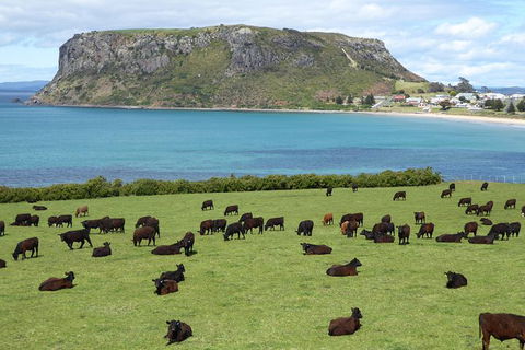 Cruise Ship Excursion: Stanley - Foster Accommodation 0