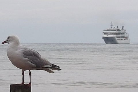 Cruise Ship Excursion: Stanley - Foster Accommodation 9