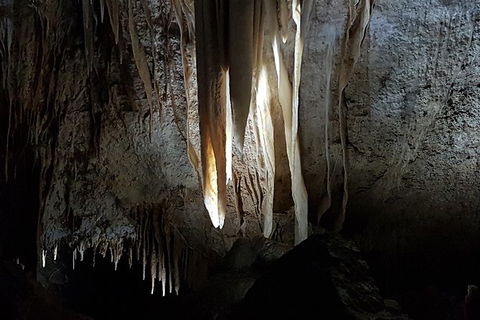 Shore Excursion: Coast, Caves And Wildlife Park - 8 Hour Tour - Foster Accommodation 10