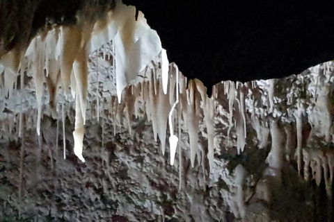 Shore Excursion: Coast, Caves And Wildlife Park - 8 Hour Tour - Foster Accommodation 21