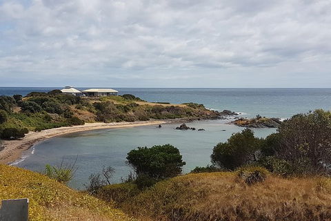 Shore Excursion: Coast, Caves And Wildlife Park - 8 Hour Tour - Foster Accommodation 0