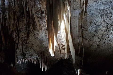 Shore Excursion: Coast, Caves And Wildlife Park - 8 Hour Tour - Foster Accommodation 7