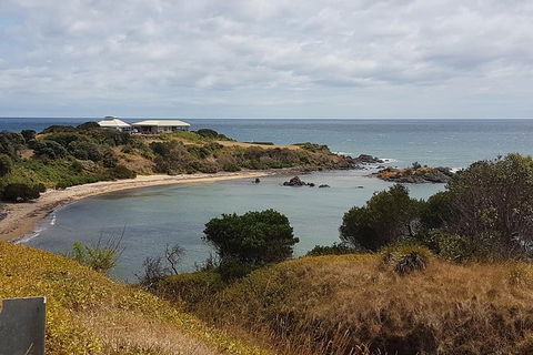 Cruise Ship Excursion: NW Tassie Coastal Explorer - Foster Accommodation 13