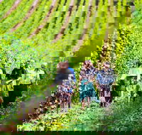 Hobart Highlights of Tasmanian Wine Full Day Tour - Foster Accommodation