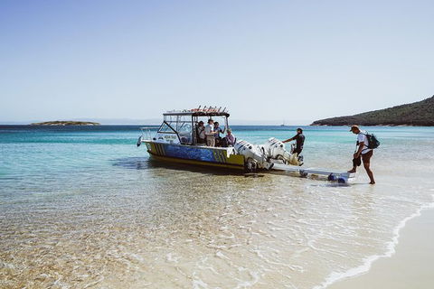 Sea & Explore Wineglass Bay & Freycinet National Park - Cruise & Walk - Foster Accommodation 3