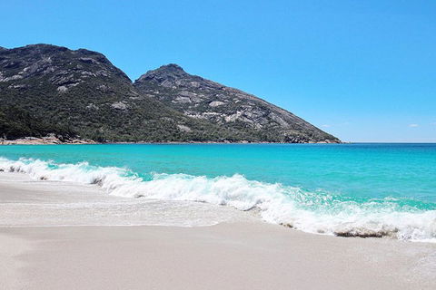Sea & Explore Wineglass Bay & Freycinet National Park - Cruise & Walk - Foster Accommodation 4