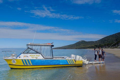 Sea & Explore Wineglass Bay & Freycinet National Park - Cruise & Walk - Foster Accommodation 7