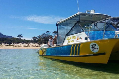 Sea & Explore Wineglass Bay & Freycinet National Park - Cruise & Walk - Foster Accommodation 1